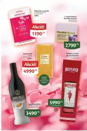 EcoFamily akciós újság Oldal 10