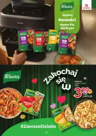 Selgros gazetka Strona 15