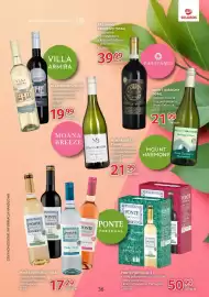 Selgros gazetka Strona 36