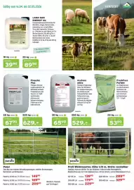 Salzburger Lagerhaus Flugblatt Seite 5