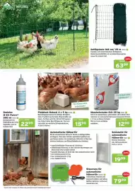 Salzburger Lagerhaus Flugblatt Seite 6