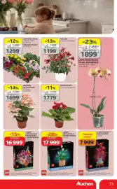 Auchan akciós újság hét 17 Oldal 31