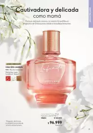 Catálogo Oriflame Página 29