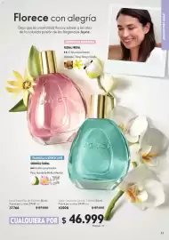 Catálogo Oriflame Página 33