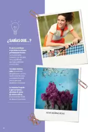 Catálogo Oriflame Página 94