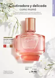 Catálogo Oriflame Página 29