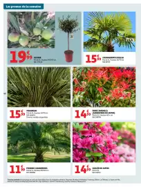 Catalogue Auchan page 46