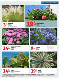 Catalogue Auchan page 47