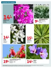 Catalogue Auchan page 48