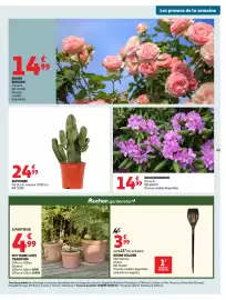 Catalogue Auchan page 49