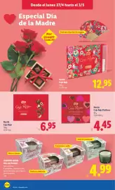 Catálogo Lidl semana 18 Página 24