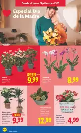 Catálogo Lidl semana 18 Página 44