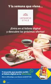Catálogo Lidl | Bazar Página 30