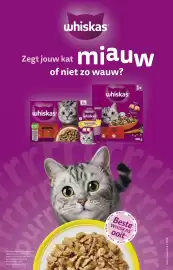 Ditjes en datjes folder Pagina 34