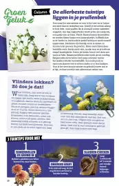 Ditjes en datjes folder Pagina 38