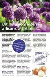 Ditjes en datjes folder Pagina 39