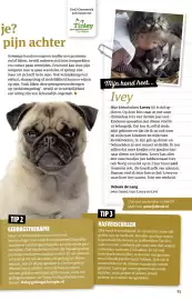 Ditjes en datjes folder Pagina 83