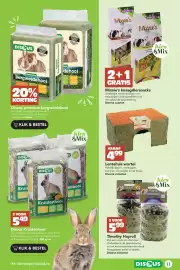 Discus folder Pagina 11