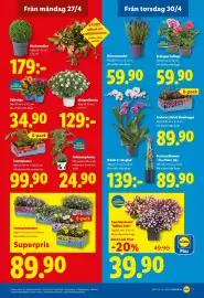 Lidl reklamblad vecka 18 Sida 20
