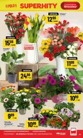 Polomarket gazetka tydzień 17 Strona 25