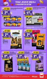 Polomarket gazetka tydzień 17 Strona 9