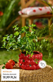 Sinsay gazetka tydzień 17 Strona 26