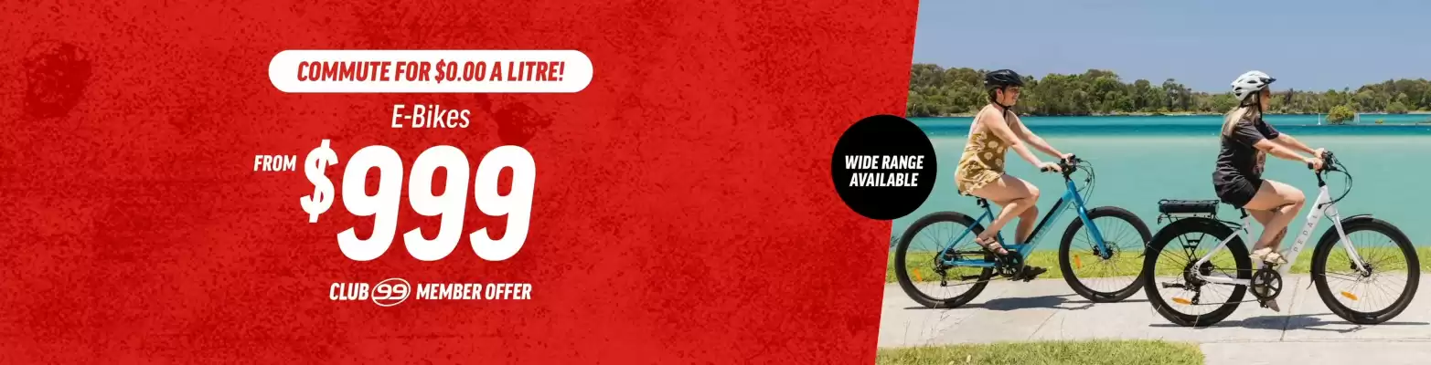 99 Bikes (valid until 4-05)