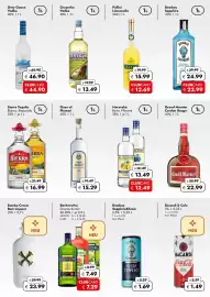 Travel FREE Prospekt Seite 3