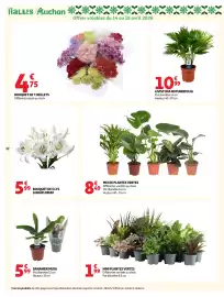 Catalogue Auchan Drive semaine 17 page 34