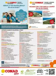 Volantino Conad City Pagina 16