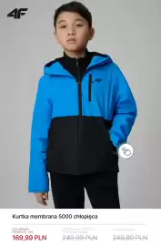 4F gazetka tydzień 17 Strona 10