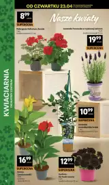 Delikatesy Centrum gazetka tydzień 17 Strona 12