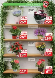 Catalog Auchan Pagină 27