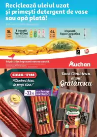 Catalog Auchan Pagină 32