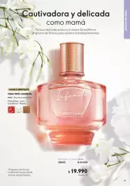 Catálogo Oriflame Página 29
