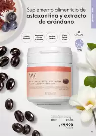 Catálogo Oriflame Página 43