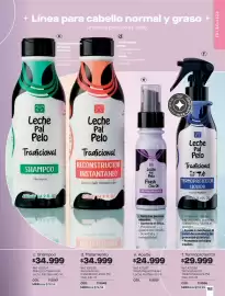 Catálogo Carmel Página 163