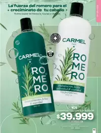 Catálogo Carmel Página 165