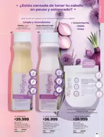 Catálogo Carmel Página 167