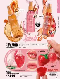 Catálogo Carmel Página 179