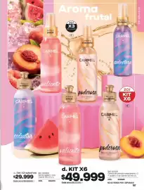 Catálogo Carmel Página 187