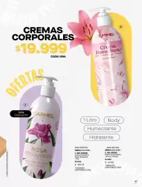 Catálogo Carmel Página 231