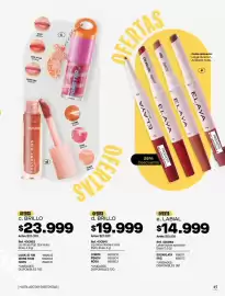 Catálogo Carmel Página 235