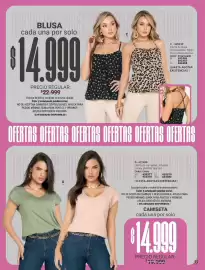 Catálogo Carmel Página 243