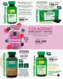 Catálogo Dolce Catálogos Página 113