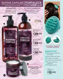 Catálogo Dolce Catálogos Página 124