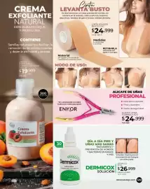 Catálogo Dolce Catálogos Página 129