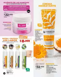 Catálogo Dolce Catálogos Página 132