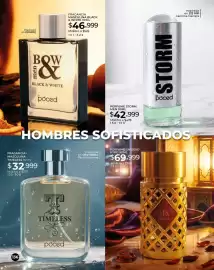 Catálogo Dolce Catálogos Página 136