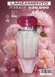 Catálogo Juana Bonita Página 156